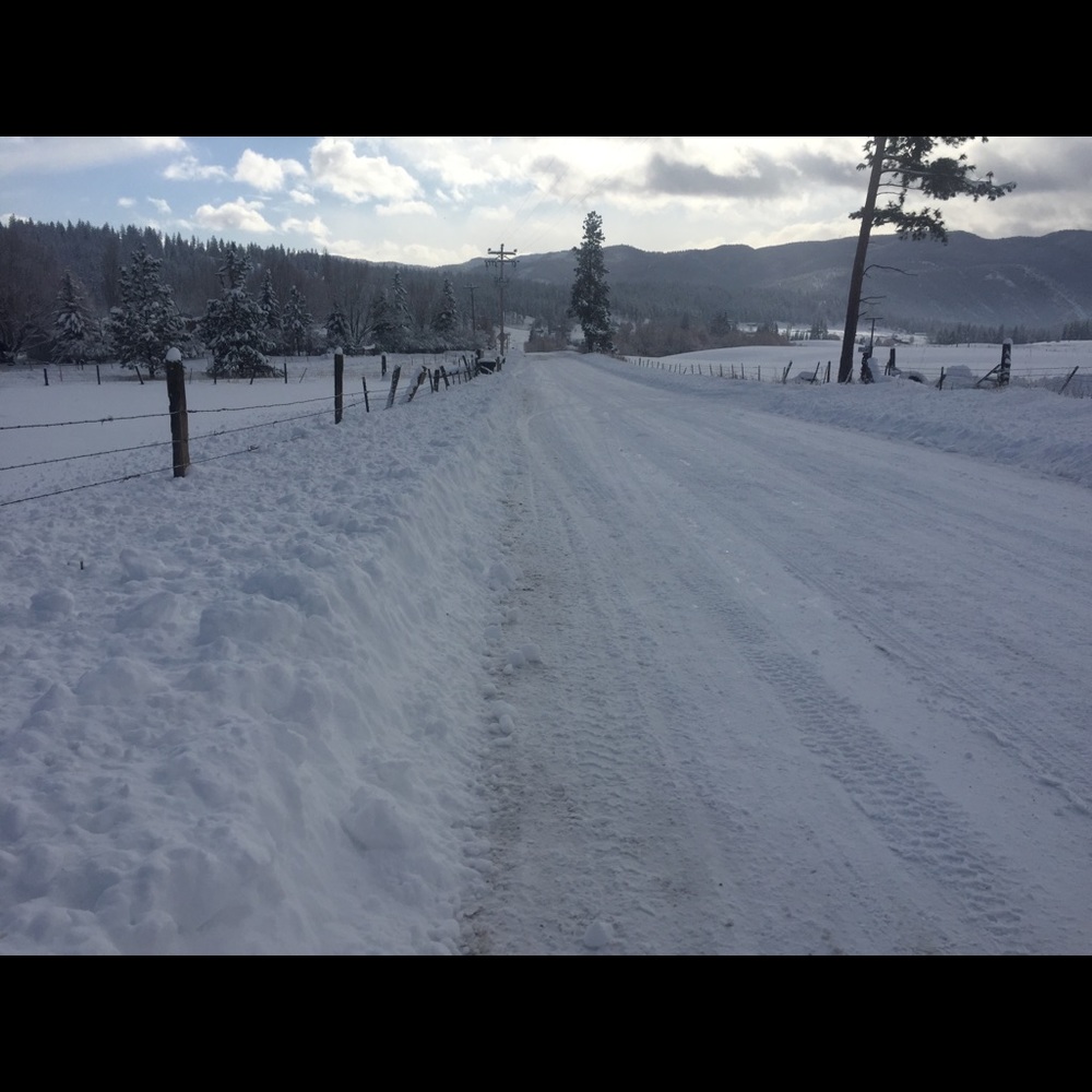 Meet your Posher, Bailey